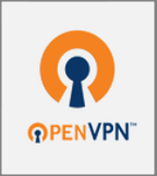 Open Vpn Connect